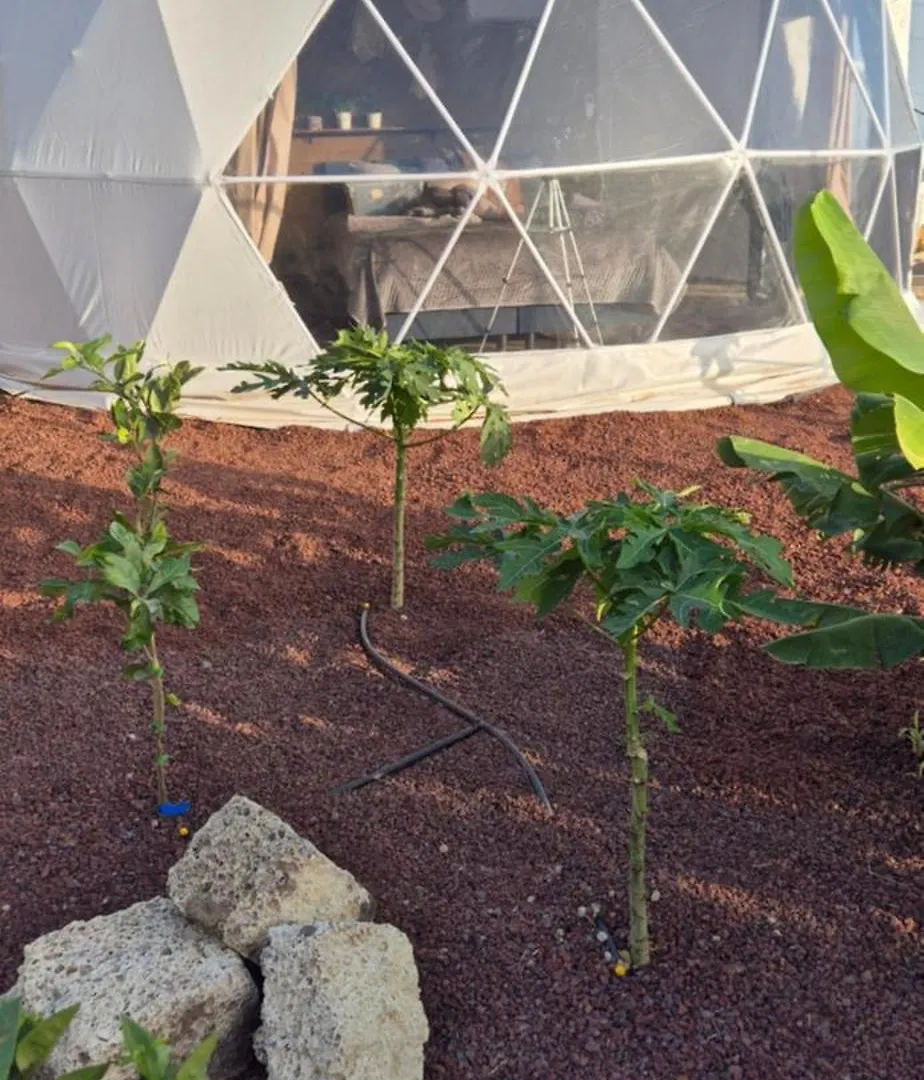 Koepel In Teguedite, Arico La Sabinita Luxe tent